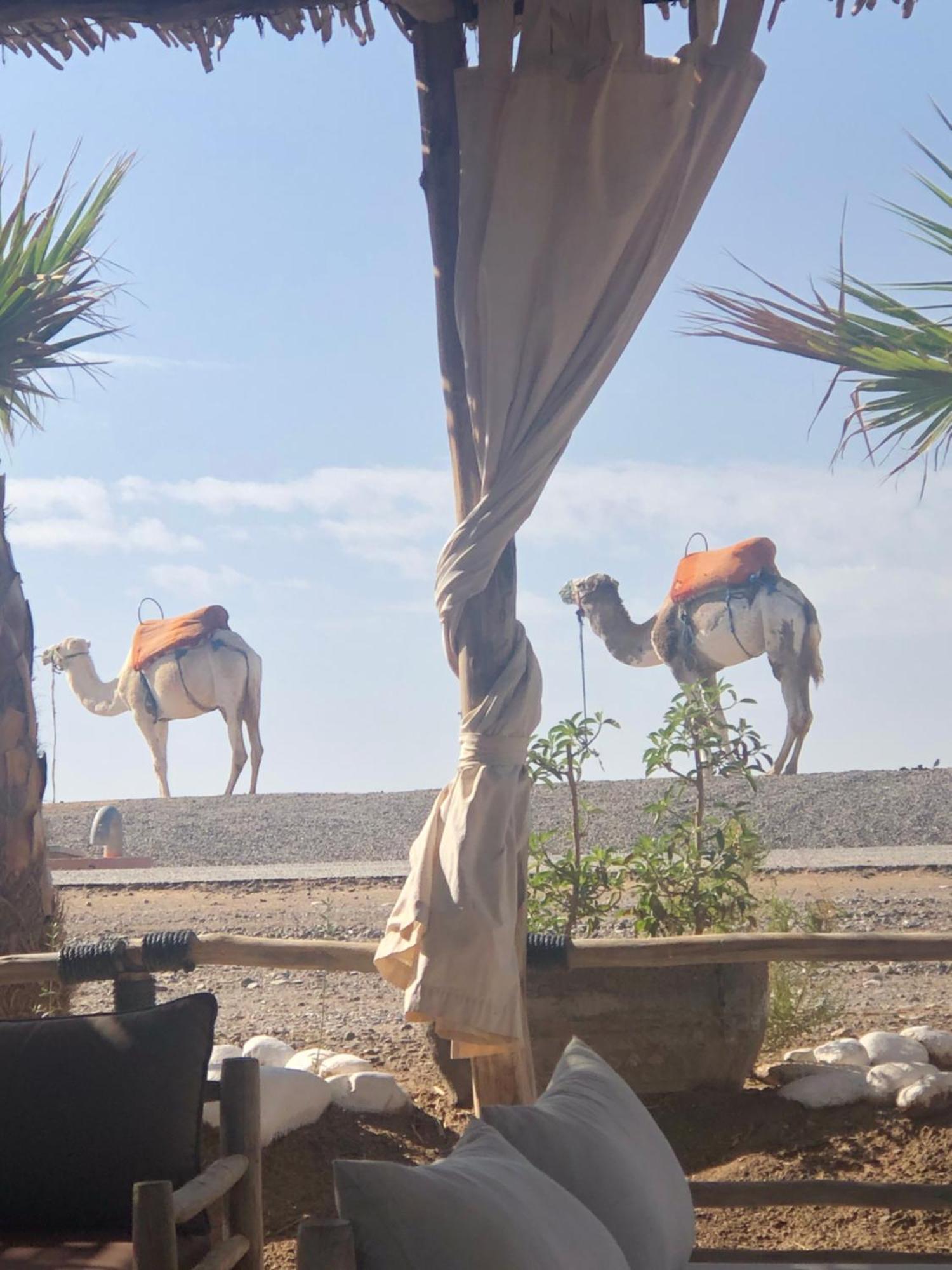 Riad Abbassia Marrakech Premiere Marraquexe Exterior foto