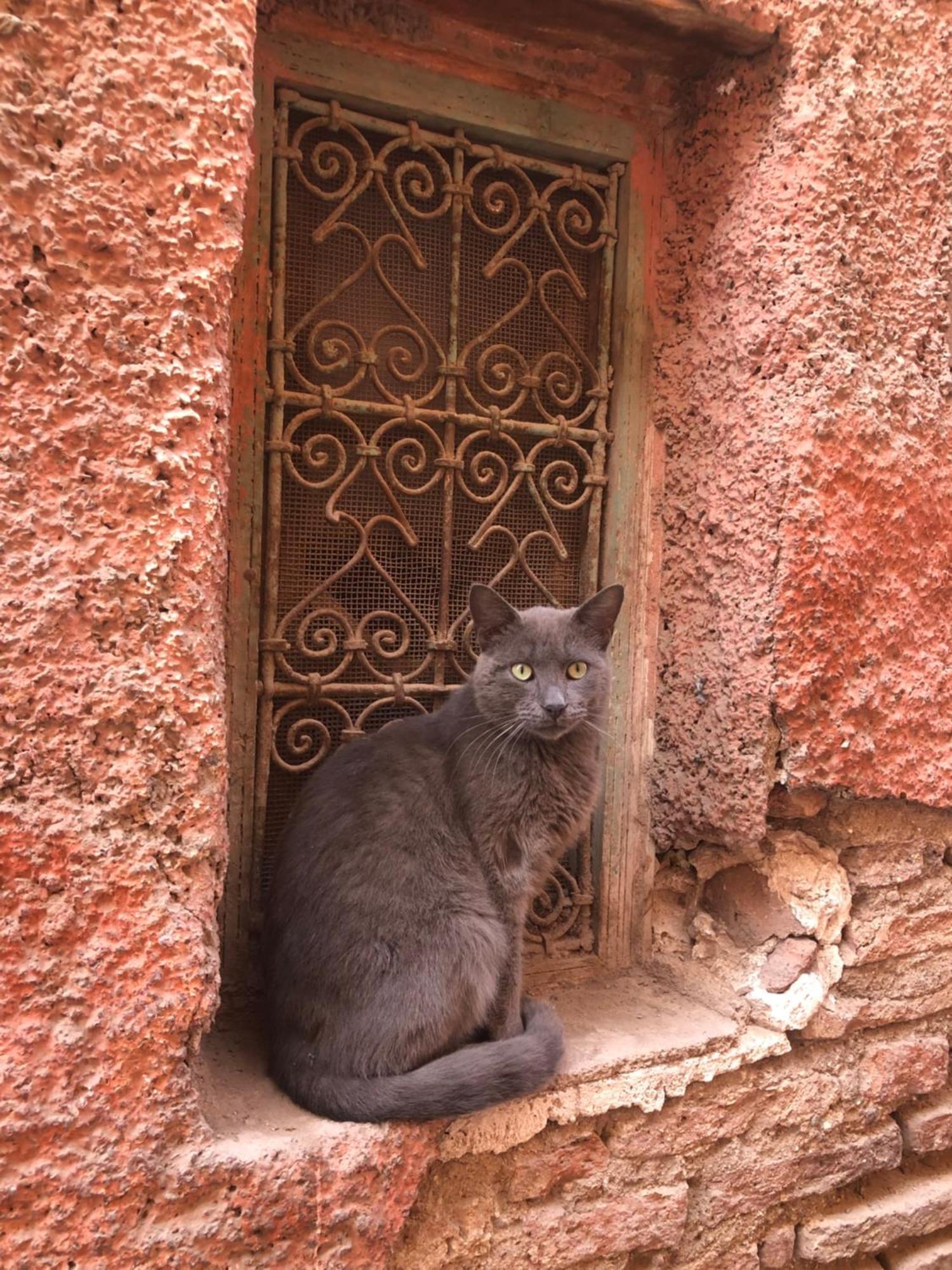 Riad Abbassia Marrakech Premiere Marraquexe Exterior foto